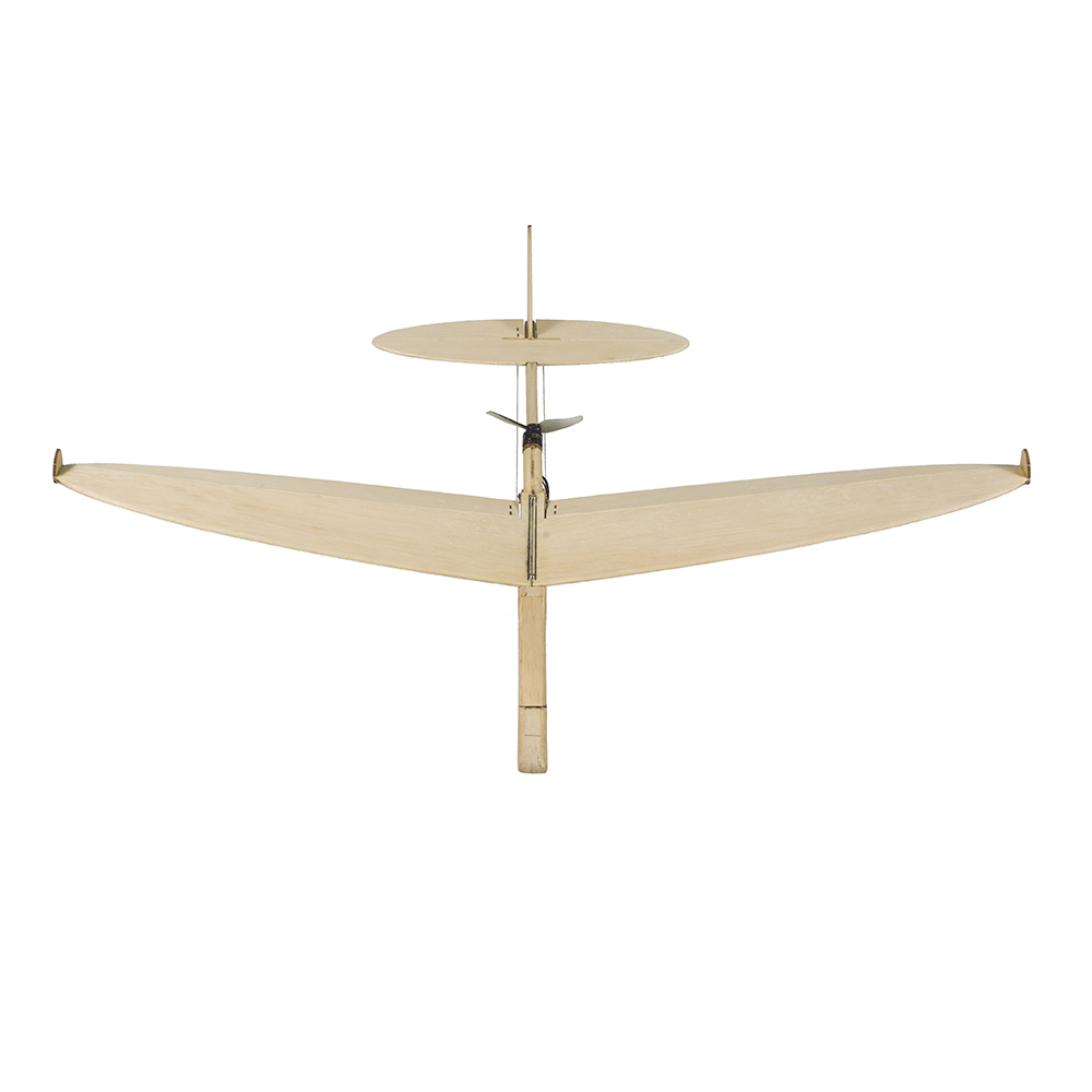 RC Plane Model Laser Cut Balsa - Model Kit Planes のレビューと価格