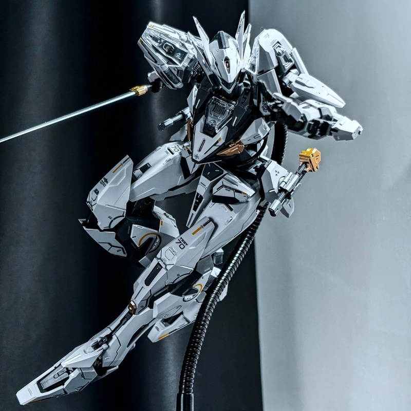 Transformable Anime Model Kit  - Model Kit Hemoxian のレビューと価格