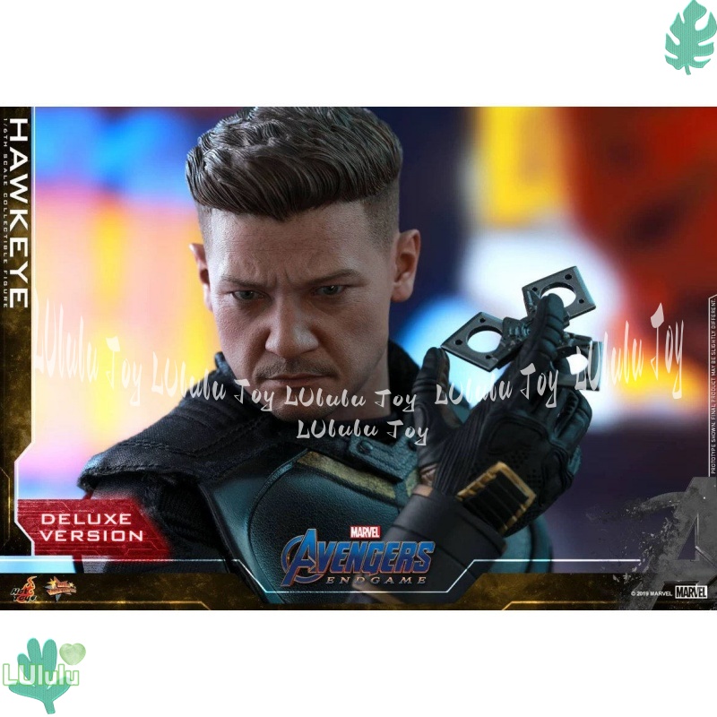 Hottoys Marvel Hawkeye 1/6 Sca - Model Kit Final Fantasy のレビューと価格